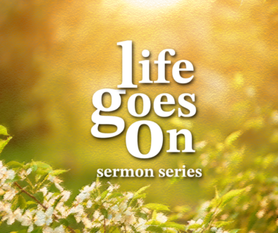 life goes on slide