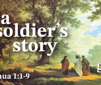a soldiers story